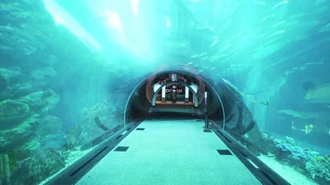 Empty aquarium dubai mall - stable shot on gimbal Stock Footage 144377356