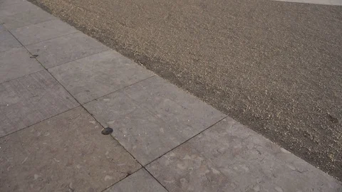 Empty Arco da Rua Augusta at sunrise reveal shot close Vídeos de archivo 124463732