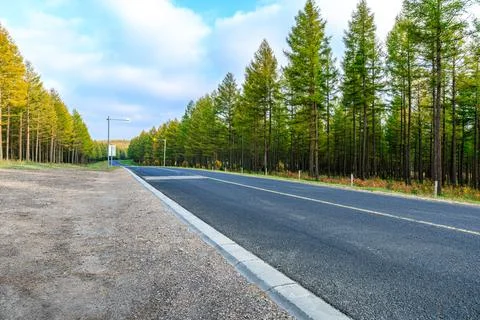 Empty asphalt road and forest landscape. Stock Photos