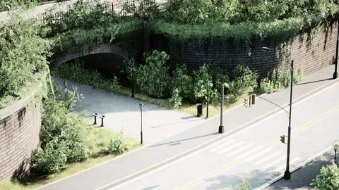 Empty asphalt road in city with trees Stock Footage 238697838