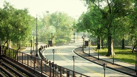 Empty asphalt road in city with trees Stock Illustration