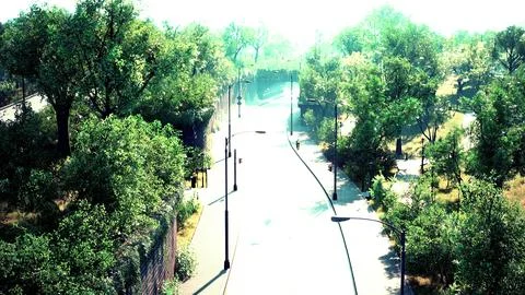 Empty asphalt road in city with trees Illustrazione stock