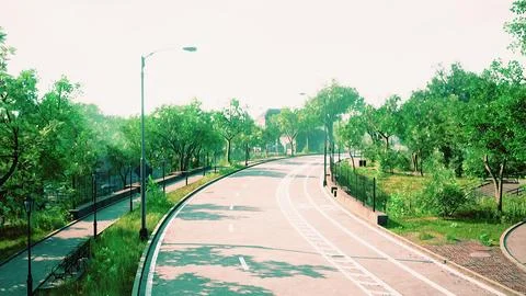 Empty asphalt road in city with trees Stock Illustration