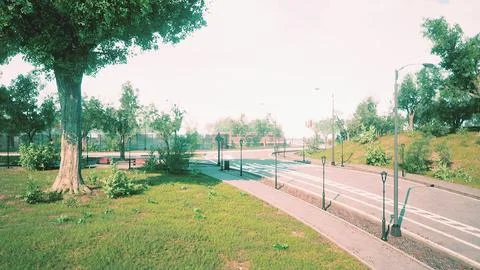 Empty asphalt road in city with trees Stock Illustration
