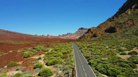 Empty asphalt road in deserted mountain landscape of Teide National Park on Video stock 231582644