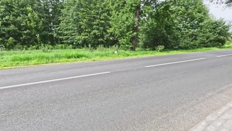 Empty asphalt road with green forest on sunny summer day Stock Footage 315703654