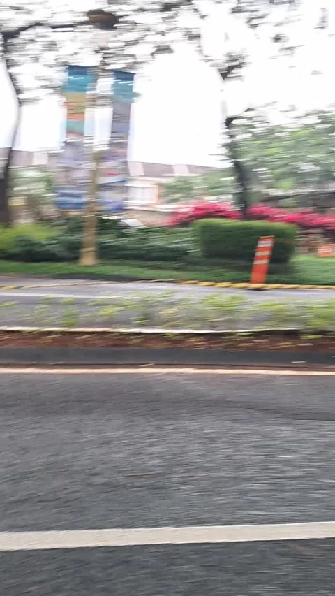 Empty Asphalt Road with Green Trees Stock Footage 331422290