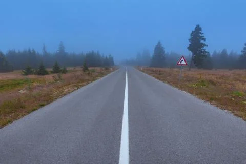 Empty asphalt road in mountain forest at spooky dusk 写真素材