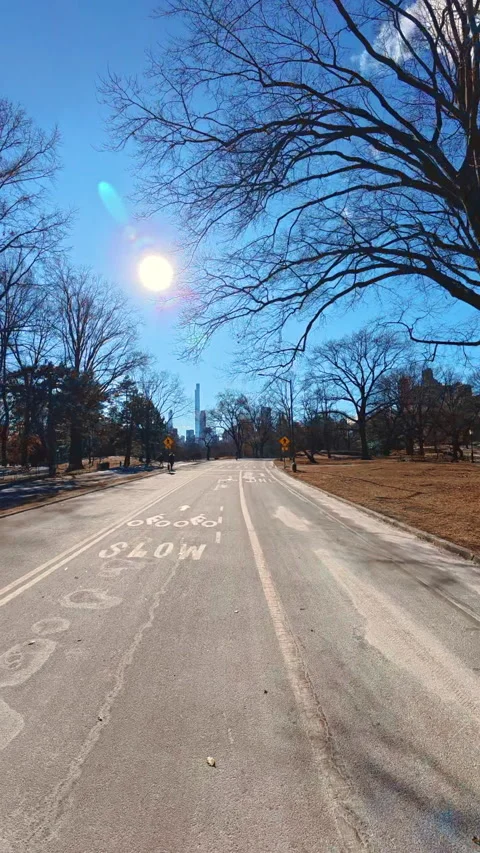 Empty asphalt road in park under bright sun with bare trees. Stock Footage 342329681