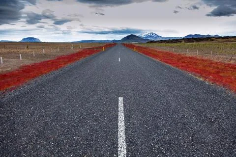 Empty asphalt road Stock Photos
