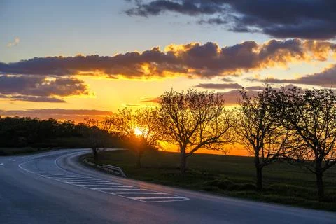 Empty asphalt road Stock Photos