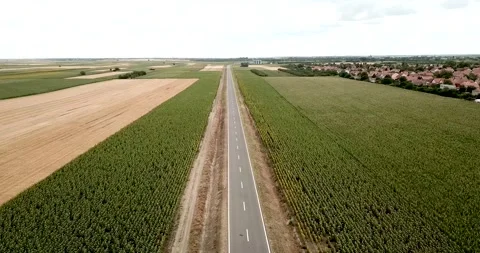 Empty asphalt road on the plateau between green fields, aerial view. Video stock 234206606