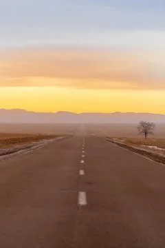 Empty asphalt road at sunset vertical photo Stock Photos