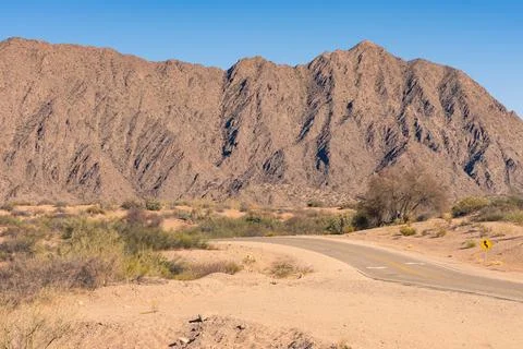 Empty asphalt road surrounded by arid vegetation. Route 60 Stock Photos