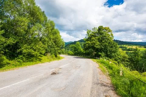 Empty asphalt road through forest Stock Photos