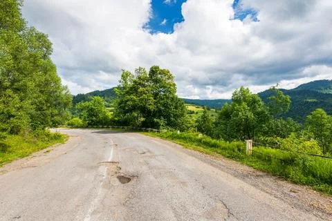 Empty asphalt road through forest Stock Photos
