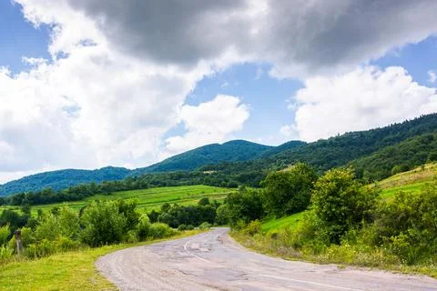 Empty asphalt road through forest Stock Photos