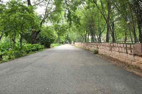 Empty asphalt road through lush green park with trees and peaceful natural .. Stock Photos