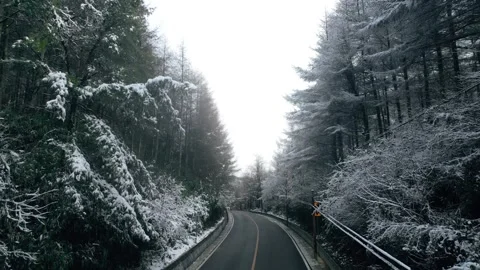 Empty asphalt road winding through a serene forest covered in fresh winter snow Vídeos de archivo 342323717