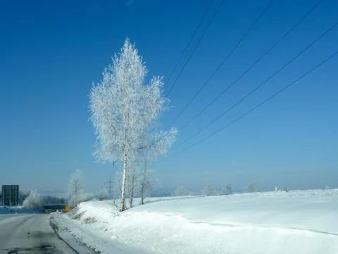 Empty asphalt road in winter in perspective. There is snow on the sides Stock Photos