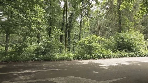 Empty Asphalted Forest Road with Sign Stock-Footage 76460100