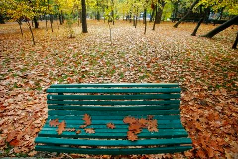 Empty autumn bench Stock Photos