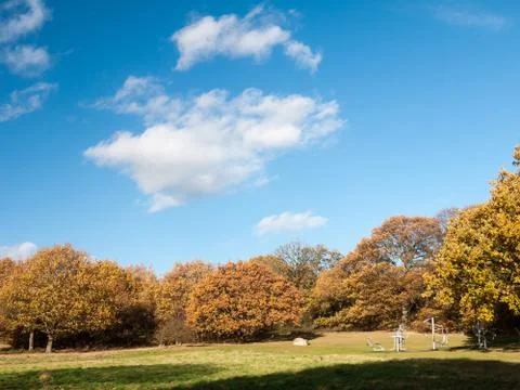 Empty autumn grass and tree landscape sky clouds Stock Photos