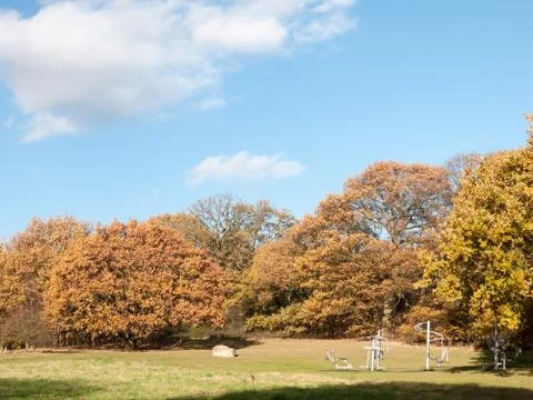 Empty autumn grass and tree landscape sky clouds Stock Photos