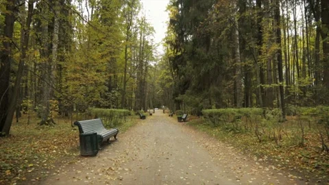 An empty autumn park Stockbeeldmateriaal 162808665