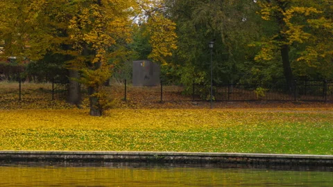 Empty autumn park, landscape Stock Footage 265243713