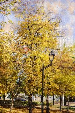 An empty autumn park. Stock Photos