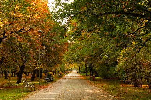 Empty autumn pubic park path Foto stock