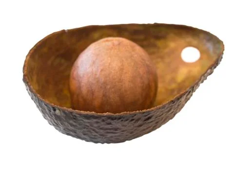 Empty Avocado Stock Photos