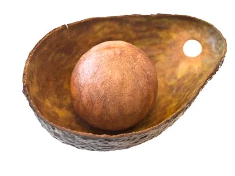 Empty Avocado Stock Photos