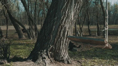 Empty baby swing on the tree Stock Footage 62177976