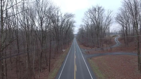 Empty back country road on cloudy day tree top flyover Stock Footage 71759976