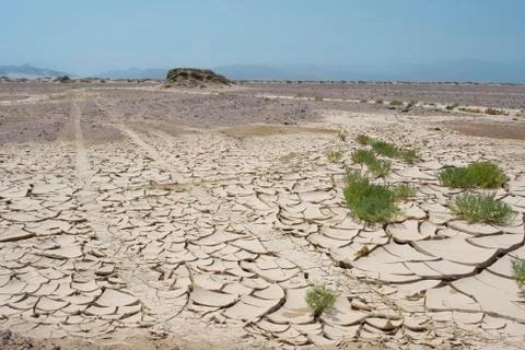 Empty background with cracked mud ground in desert, with green plants, blue s Stock Photos