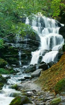 Empty background with green summer forest and waterfall Stock Photos
