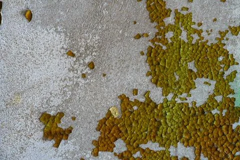 Empty background is an old painted concrete wall. The texture of the wall wit 스톡 사진