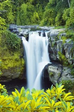 Empty background with waterfall in tropical forest Stock Photos