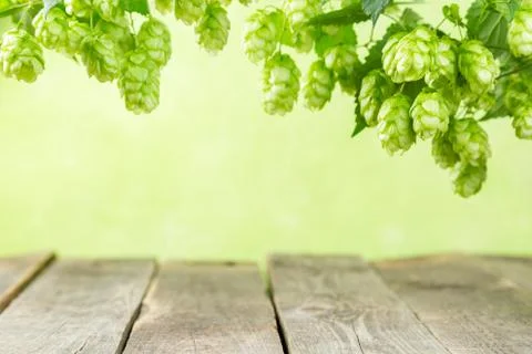 Empty background with wood table and hops branches Stock Photos