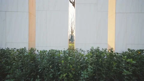 Empty backgrounds wall in park Stock Footage 168280686