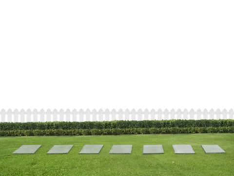 Empty backyard isolated on white background with copy space Stock Illustration