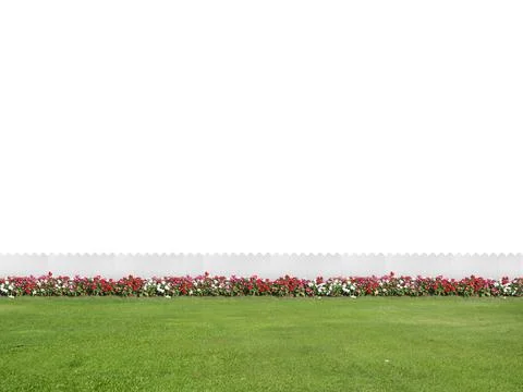 Empty backyard isolated on white background with copy space Stock Photos