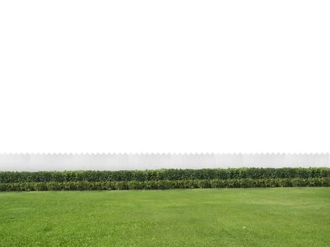 Empty backyard isolated on white background with copy space Stock Photos