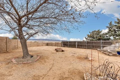 An empty backyard with just one tree in the center Stock Photos