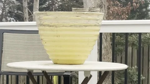 An empty backyard pot Video stock 330494197