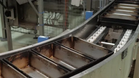 Empty baking trays on a conveyor in a bakery factory Stock Footage 217717404