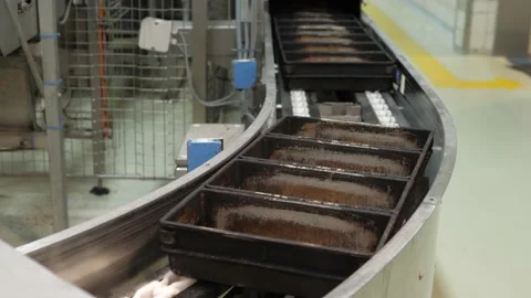 Empty baking trays on a conveyor in a bakery factory Stock Footage 217718451