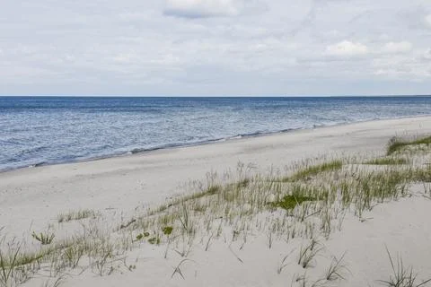 Empty Baltic beach with dune grass, gentle waves and moody overcast sky Stock Photos